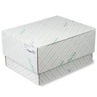 Kettingpapier