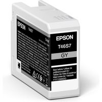 Epson T46S7 Inktcartridge Grijs