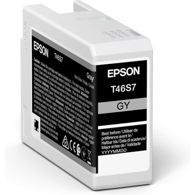 Epson T46S7 Inktcartridge Grijs
