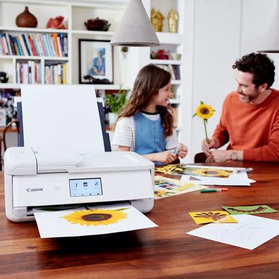 Canon PIXMA TS9551C Inkjetprinter