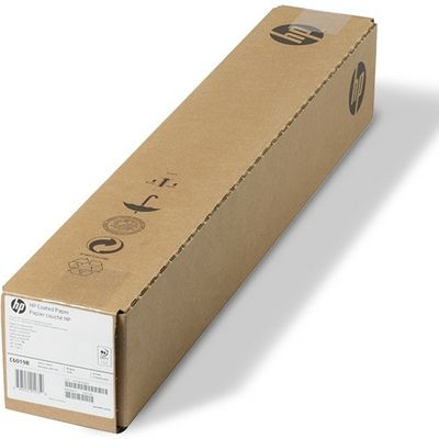 HP C6019B Groot formaat