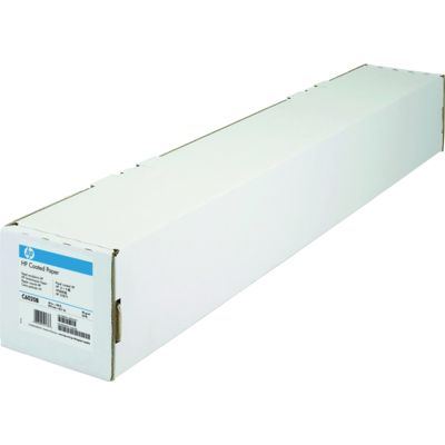 HP C6020B Groot formaat