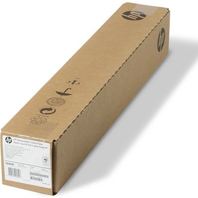 HP C6029C Groot formaat