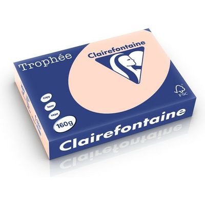 Clairefontaine Zalm A4 Gekleurd papier 160 grams (250 vel)