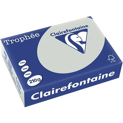 Clairefontaine Lichtgrijs A4 Gekleurd papier 210 grams (250 vel)