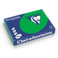 Clairefontaine Biljartgroen A4 Gekleurd papier 120 grams (250 vel)