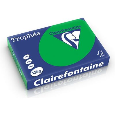 Clairefontaine Biljartgroen A4 Gekleurd papier 120 grams (250 vel)