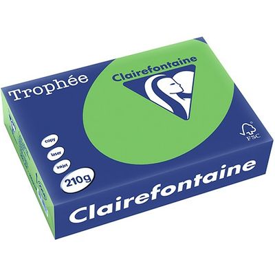 Clairefontaine Grasgroen A4 Gekleurd papier 210 grams (250 vel)