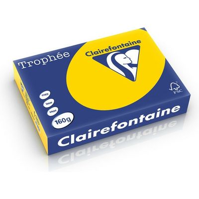 Clairefontaine Goudgeel A4 Gekleurd papier 160 grams (250 vel)