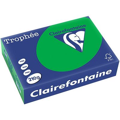 Clairefontaine Biljartgroen A4 Gekleurd papier 210 grams (250 vel)