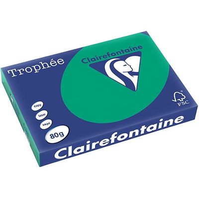 Clairefontaine Dennengroen A3 Gekleurd papier 80 grams (500 vel)