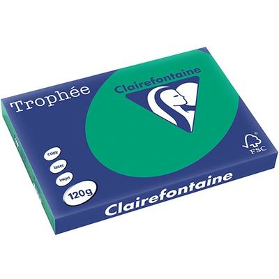 Clairefontaine Dennengroen A3 Gekleurd papier 120 grams (250 vel)