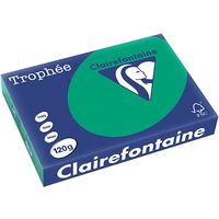 Clairefontaine Dennengroen A4 Gekleurd papier 120 grams (250 vel)