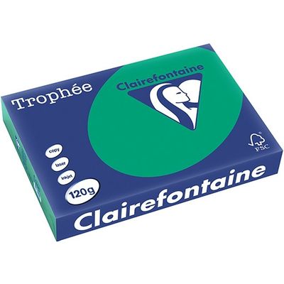 Clairefontaine Dennengroen A4 Gekleurd papier 120 grams (250 vel)