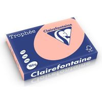 Clairefontaine Zalm A3 Gekleurd papier 160 grams (250 vel)