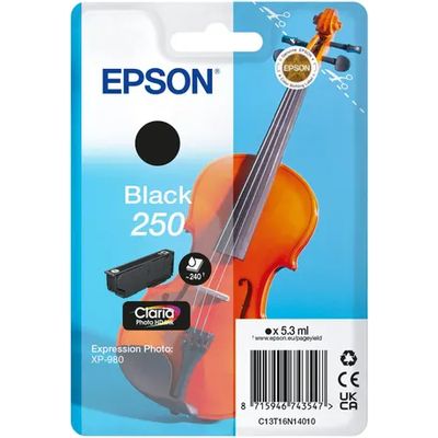 Epson 250 (C13T16N14010) Inktcartridge Zwart