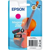 Epson 250 (C13T16N34010) Inktcartridge Magenta