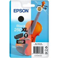 Epson 250XL (C13T16P14010) Inktcartridge Zwart Hoge capaciteit
