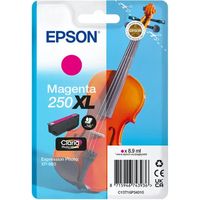 Epson 250XL (C13T16P34010) Inktcartridge Magenta Hoge capaciteit