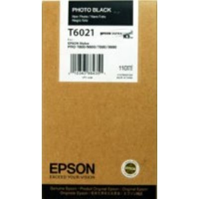 Epson T602100 Inktcartridge Foto-zwart