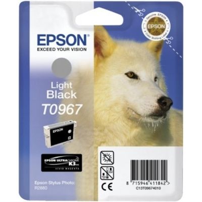 Epson T09674010 Inktcartridge Licht-zwart