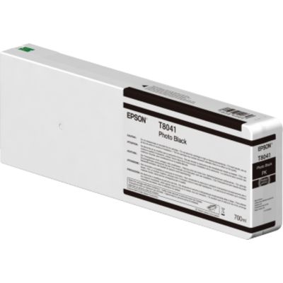 Epson T804 (T804100) Inktcartridge Foto-zwart